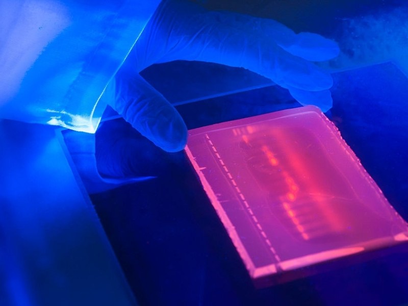 HOW TO SOLVE CRIME WITH FORENSIC&nbsp;GENOMICS